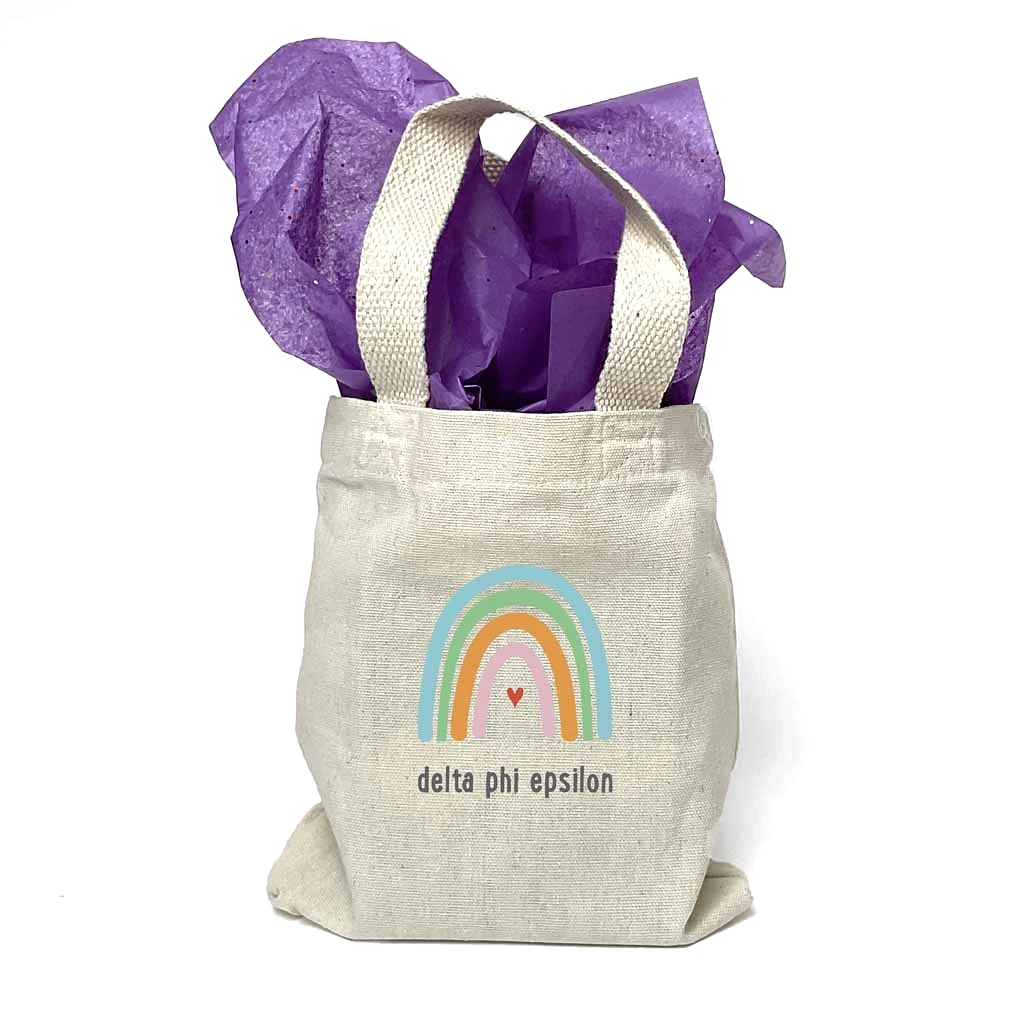 Delta Phi Epsilon Sorority Rainbow Mini Tote Gift Bag